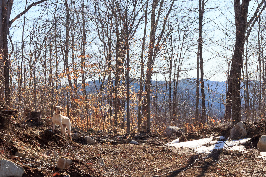 mountain top zen