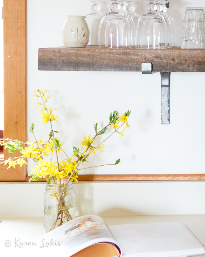 forsythias and open shelves