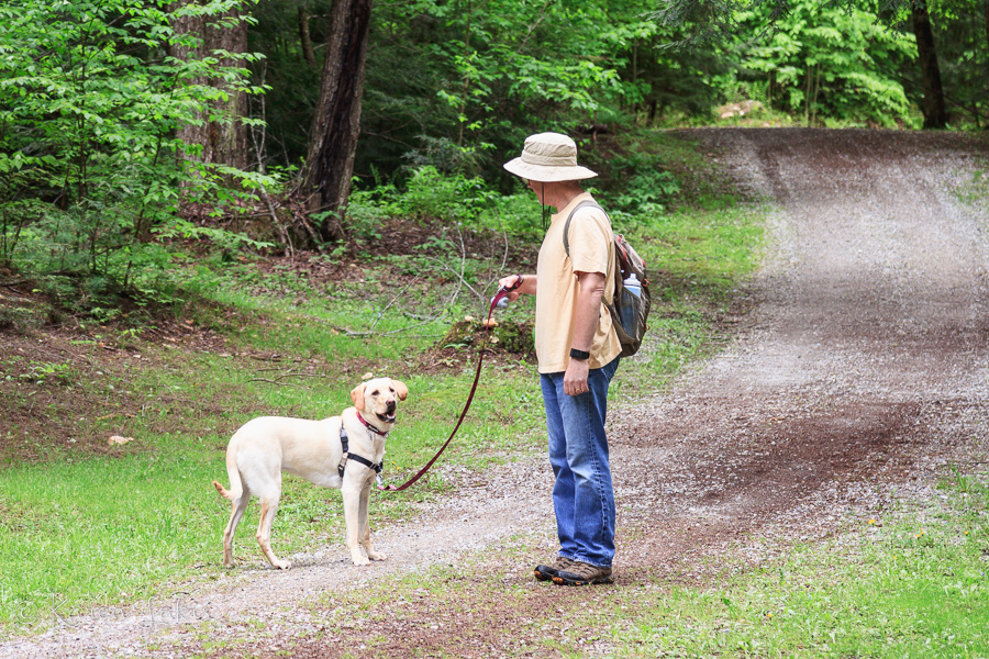 Greg and Chessie on the trail