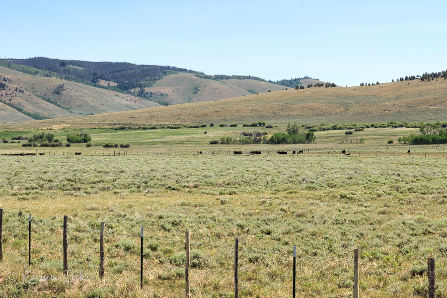 Wyoming cattle ranch