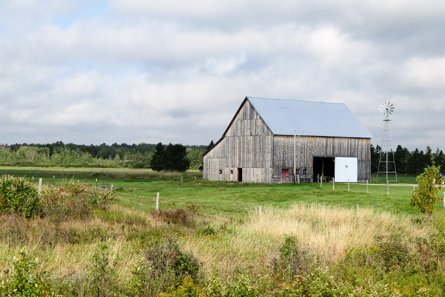 Michigan farm