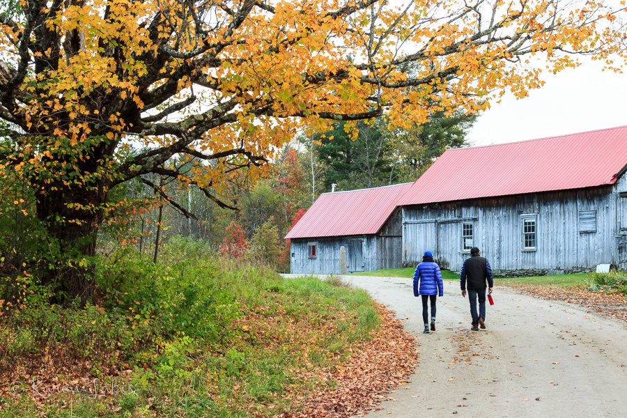 Autumn walk