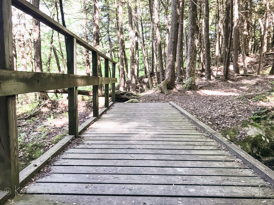 bridge in the woods