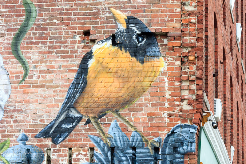 mural of bird