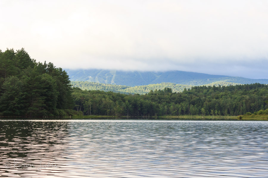 Gale Meadow Pond