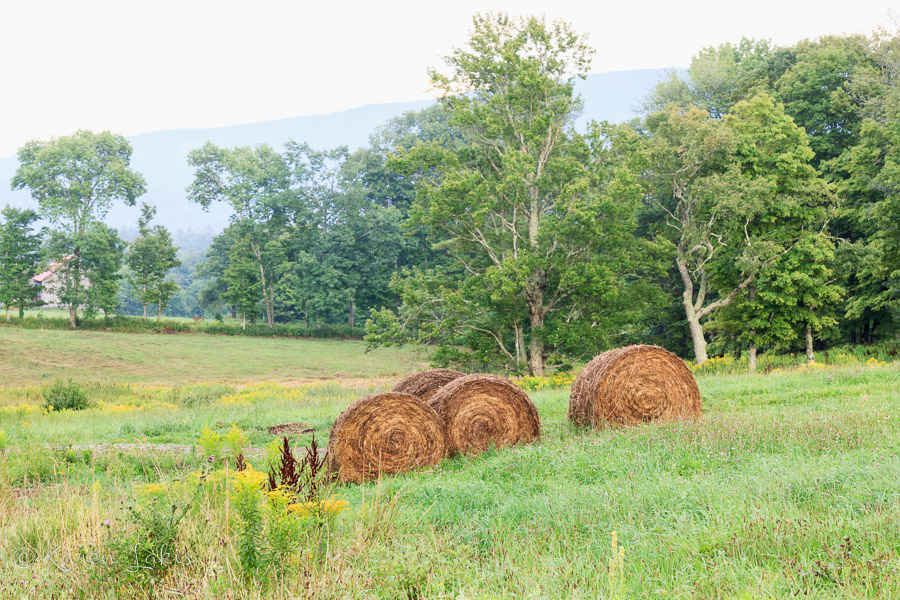 hay bales