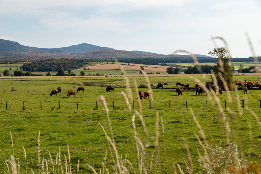 Quebec countryside