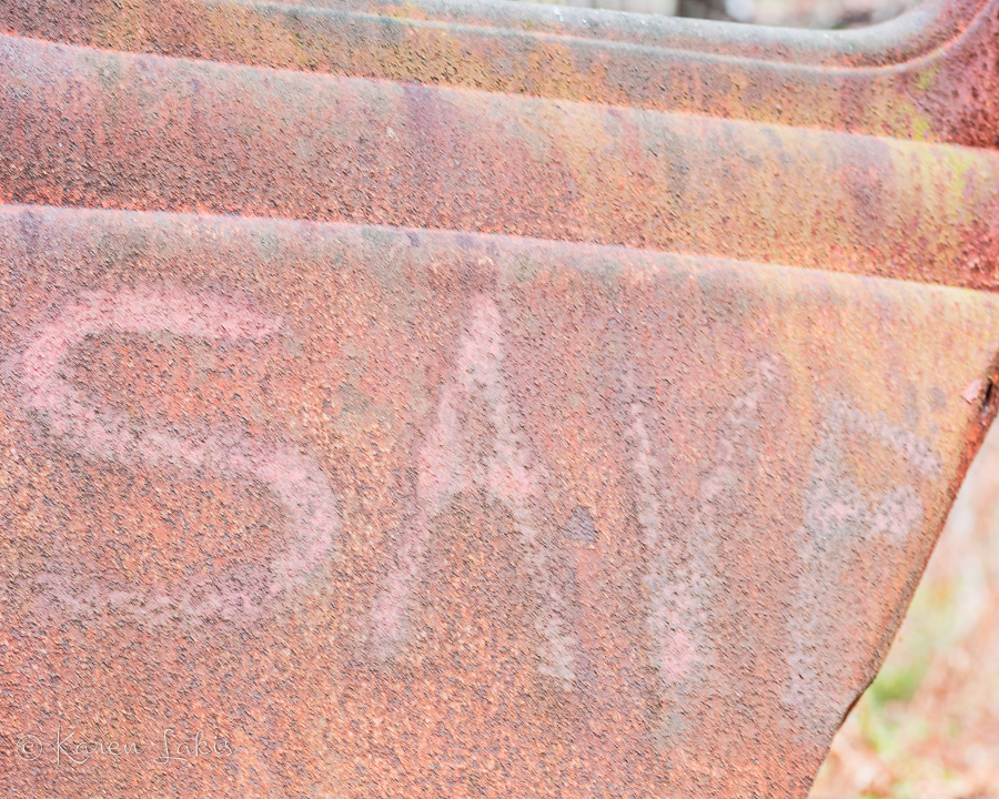 rusted door with spray painted "save"