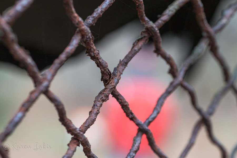 Blurry Greg and Chessie through rusted grate