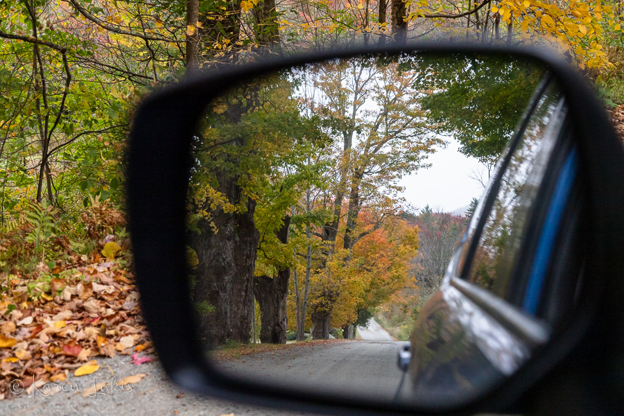 autumn leaves through sideview mirror