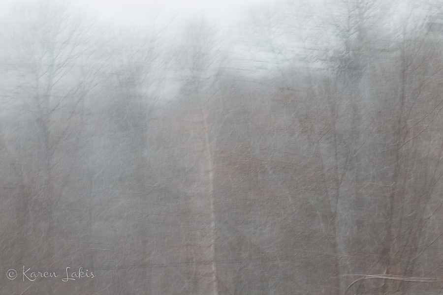 blurry winter storm