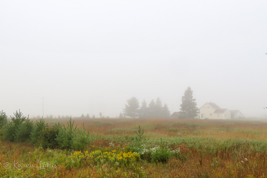 misty farmland