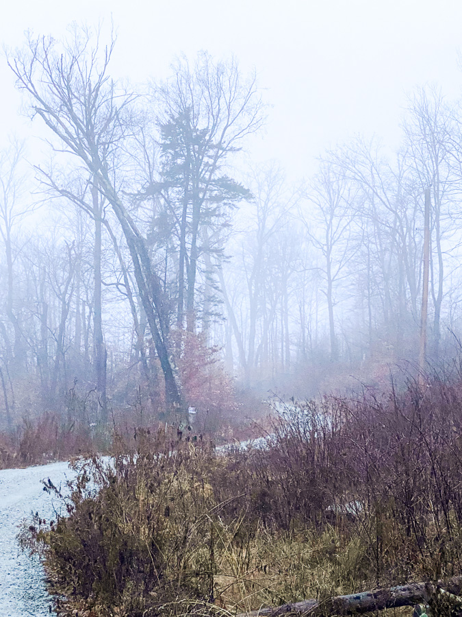 dreary misty morning